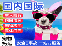 赛乌素航空快递国际宠物托运 【国